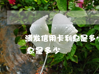浦发信用卡利息是多少钱一天（浦发信用卡利息是多少）