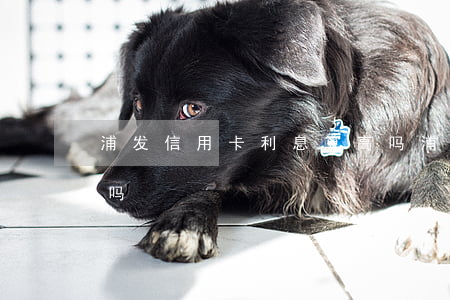 浦发信用卡利息算高吗（浦发信用卡利息算高吗）