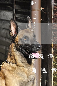 浦发信用卡协商电话多少号-浦发信用卡协商电话多少号码