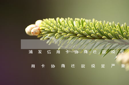 浦发信用卡协商还款说是严重逾期-浦发信用卡协商还款说是严重逾期怎么办