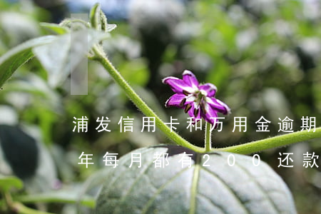 浦发信用卡和万用金逾期(浦发万用金逾期两年每月都有200还款银行起诉会怎样)