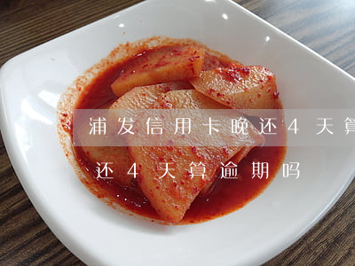 浦发信用卡晚还4天算逾期吗(浦发信用卡晚还4天算逾期吗)