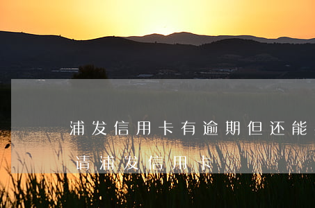 浦发信用卡有逾期但还能办卡吗(有逾期能申请浦发信用卡)
