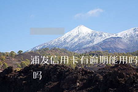 浦发信用卡有逾期能用吗(有逾期能下信用卡吗)
