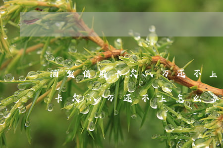 浦发信用卡欠八万还不上怎么办-浦发信用卡欠八万还不上怎么办呢