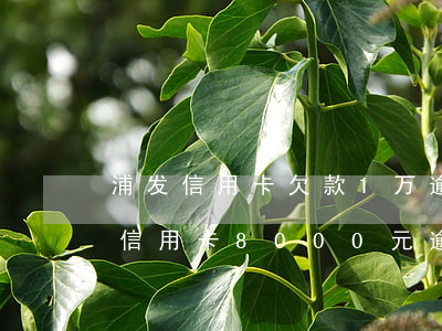 浦发信用卡欠款1万逾期多久会被起诉(浦发信用卡8000元逾期一年,会起诉立案吗)