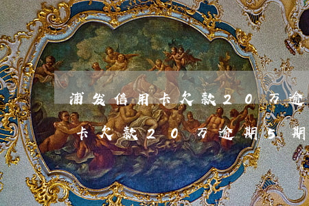 浦发信用卡欠款20万逾期5期-浦发信用卡欠款20万逾期5期利息多少