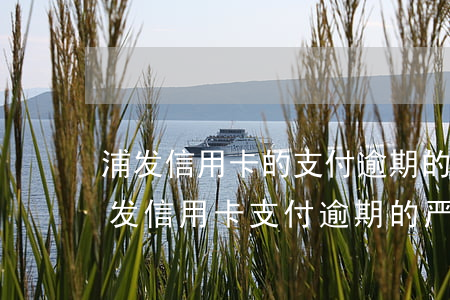 浦发信用卡的支付逾期的后果严重吗，警惕！浦发信用卡支付逾期的严重后果
