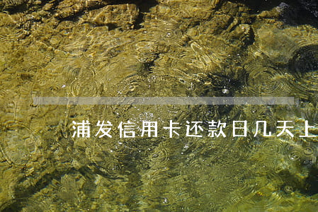 浦发信用卡还款日几天上征信逾期