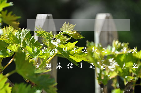 浦发信用卡还款逾期多久会被冻(浦发银行卡逾期冻结了还完了怎么解冻)