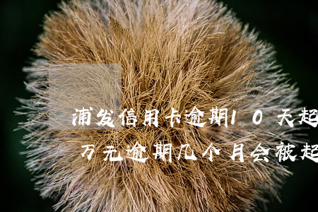 浦发信用卡逾期10天起诉(欠浦发信用卡三万元逾期几个月会被起诉呢)