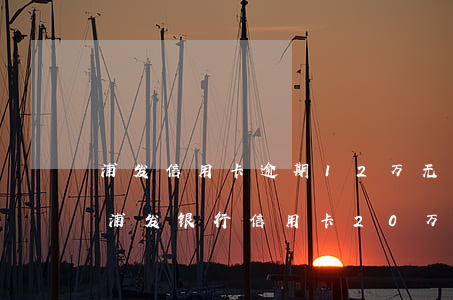 浦发信用卡逾期12万无力偿还会坐牢吗-浦发银行信用卡20万逾期一年说通过法律程序追讨