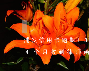 浦发信用卡逾期13万收到律师函(浦发逾期4个月收到律师函会很快起诉了吗)