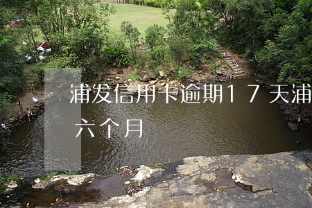 浦发信用卡逾期17天(浦发信用卡8万逾期六个月)