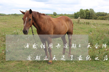 浦发信用卡逾期4天会降低额度吗(浦发银行逾期三天还了最低之后要求还全额)
