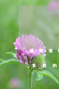 浦发信用卡逾期7万3(浦发信用卡逾期7万多真的会判刑吗?)