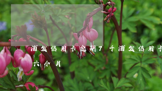 浦发信用卡逾期7千(浦发信用卡10万逾期六个月)