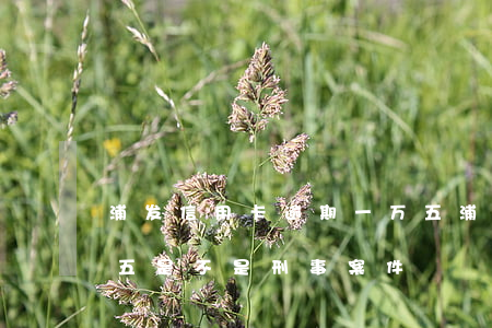 浦发信用卡逾期一万五 浦发信用卡逾期一万五是不是刑事案件