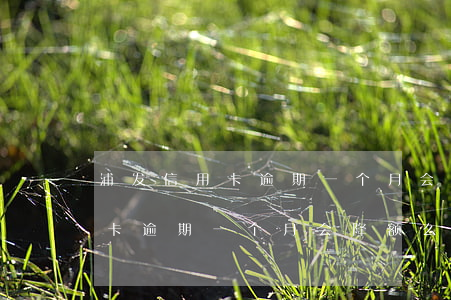 浦发信用卡逾期一个月会降额么-浦发信用卡逾期一个月会降额么吗