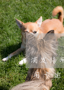 浦发信用卡逾期一天还进去有事吗-浦发信用卡逾期一天还进去有事吗怎么办