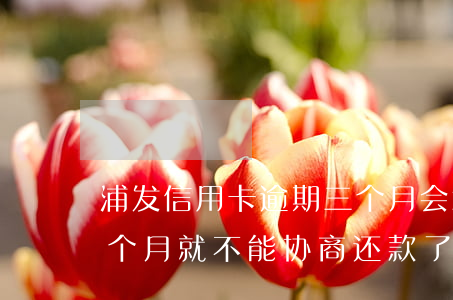 浦发信用卡逾期三个月会怎么样(浦发逾期三个月就不能协商还款了吗?)