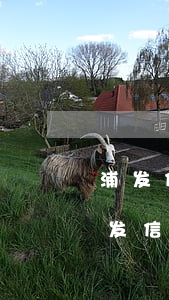 浦发信用卡逾期三个月还可以分期还吗-浦发信用卡逾期三个月还可以分期还吗