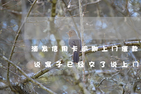 浦发信用卡逾期上门催款(浦发逾期了催收的说案子已经交了说上门)