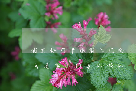 浦发信用卡逾期上门吗-浦发银行逾期两个月说要上门真的假的?
