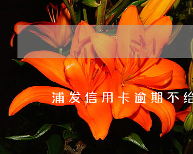 浦发信用卡逾期不给协商分期