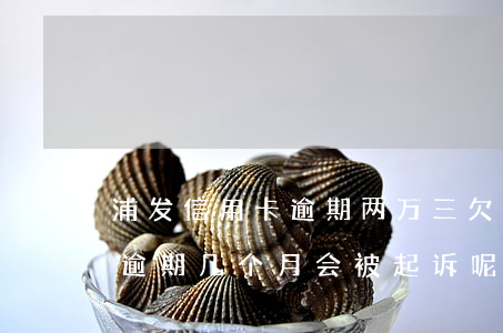 浦发信用卡逾期两万三(欠浦发信用卡三万元逾期几个月会被起诉呢)