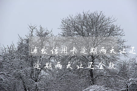 浦发信用卡逾期两天让还全款-浦发信用卡逾期两天让还全款