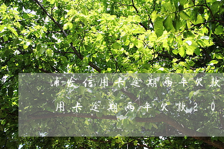 浦发信用卡逾期两年欠款2000-浦发信用卡逾期两年欠款2000多