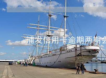 浦发信用卡逾期两期会上门吗