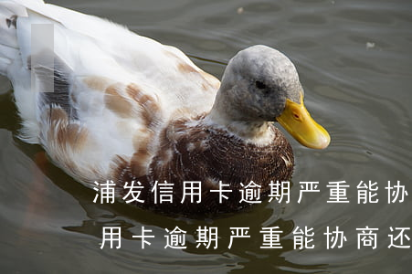 浦发信用卡逾期严重能协商还款吗-浦发信用卡逾期严重能协商还款吗知乎