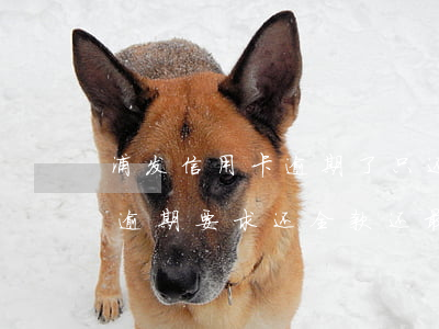 浦发信用卡逾期了只还了最低还款(浦发银行逾期要求还全款,还最低可以吗?)