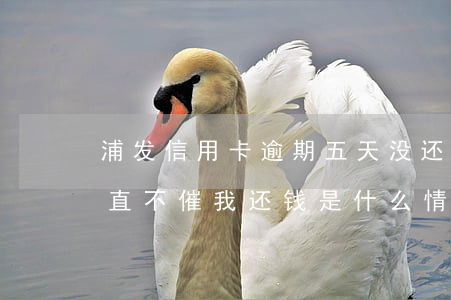 浦发信用卡逾期五天没还款(浦发逾期2年,一直不催我还钱是什么情况)