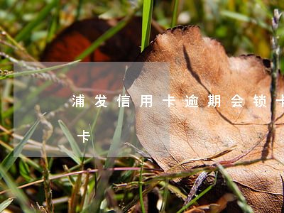 浦发信用卡逾期会锁卡(浦发银行交易异常锁卡)