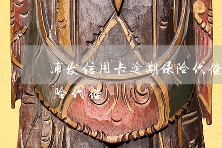 浦发信用卡逾期保险代偿(浦发信用卡逾期保险代偿)