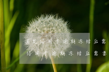 浦发信用卡逾期冻结后需要多久解冻-浦发信用卡逾期冻结后需要多久解冻呢