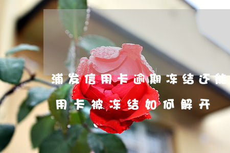 浦发信用卡逾期冻结还能解冻吗-逾期后信用卡被冻结如何解开?