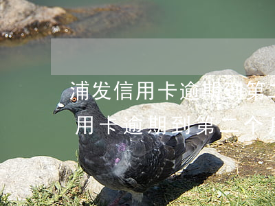 浦发信用卡逾期到第二个月账单日-浦发信用卡逾期到第二个月账单日算逾期吗
