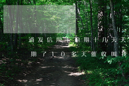 浦发信用卡逾期十几天天天催款(浦发银行逾期了10多天催收叫我全额不协商)