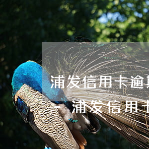 浦发信用卡逾期协商还了本金卡还可以用不-浦发信用卡逾期协商还了本金卡还可以用不