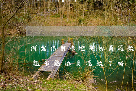 浦发信用卡逾期协商还款案(浦发逾期三个月就不能协商还款了吗?)