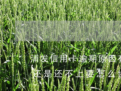 浦发信用卡逾期原因有哪些 浦发逾期半个月还是还不上要怎么协商