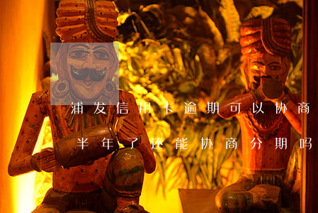 浦发信用卡逾期可以协商么(浦发银行卡逾期半年了还能协商分期吗?)