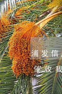 浦发信用卡逾期后上门(浦发银行信用卡上门催收,我可以不让进门吗)
