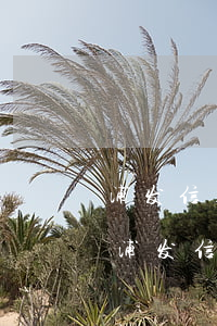浦发信用卡逾期后不涨利息了-2020年浦发信用卡逾期政策