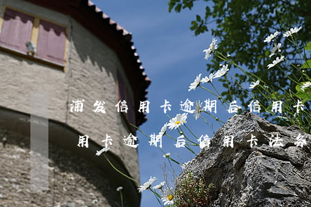 浦发信用卡逾期后信用卡法务中心-浦发信用卡逾期后信用卡法务中心还能用吗