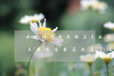 浦发信用卡逾期后怎么还款(浦发银行逾期几天要求全额还款,还了以后还能继续用吗)